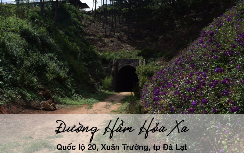 dia diem tham quan mien phi o da lat 2