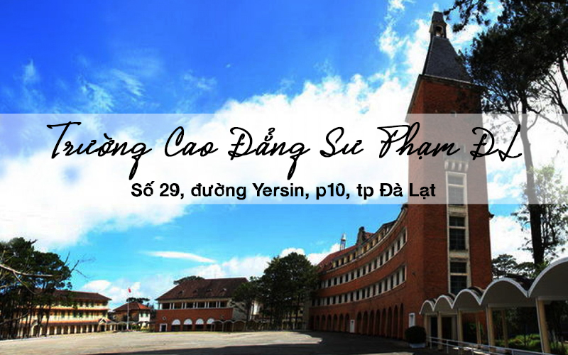 dia diem tham quan mien phi o da lat 3