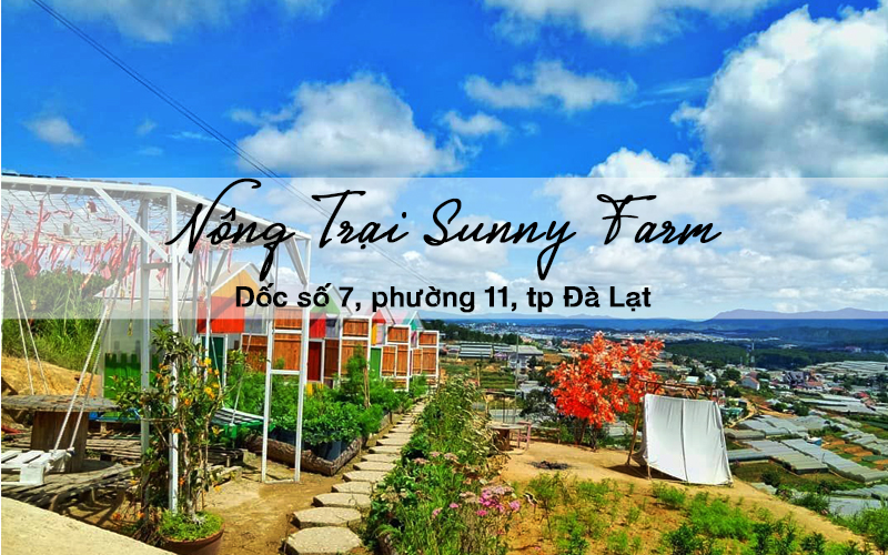 dia diem tham quan mien phi o da lat 4
