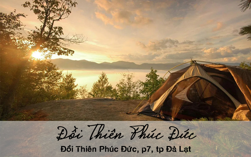 dia diem tham quan mien phi o da lat 6