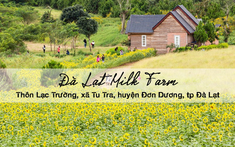 dia diem tham quan mien phi o da lat 8