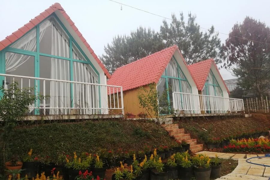 Thông Reo Homestay có khuôn viên tràn ngập các loại hoa đua nhau khoe sắc