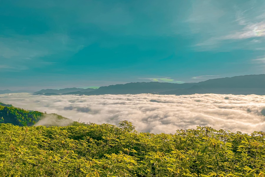 Đỉnh đèo Violak nằm tại độ cao 1300m so với mực nước biển. Cung đường lên đỉnh đèo được bao phủ bởi mây và sương mù. 