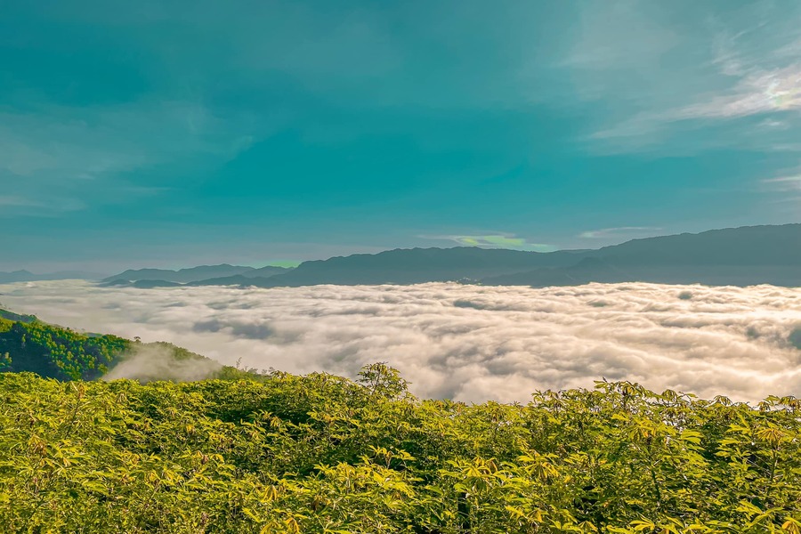 Đỉnh đèo Violak nằm tại độ cao 1300m so với mực nước biển. Cung đường lên đỉnh đèo được bao phủ bởi mây và sương mù.